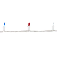 Northlight 15.5ft Led Mini String Lights