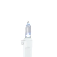 Northlight 15.5ft Led Mini String Lights