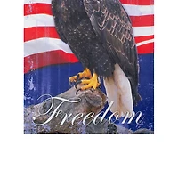 Northlight 12.5" Freedom Bald Eagle Outdoor Garden Flag
