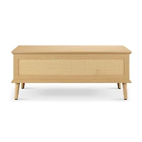 INK+IVY Teagan Coffee table