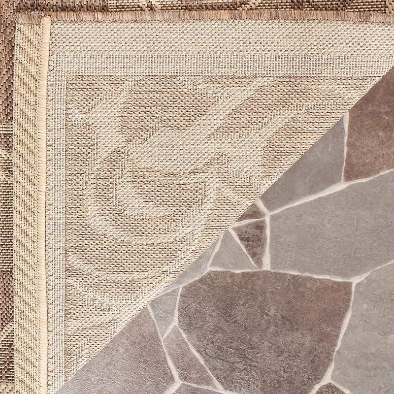 Safavieh Nazca Oriental Indoor Outdoor Rectangular Accent Rug