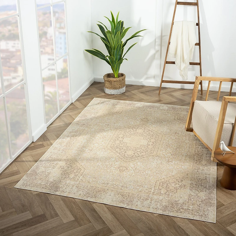 LR Home Aris Medallion Indoor Rectangular Accent Rug