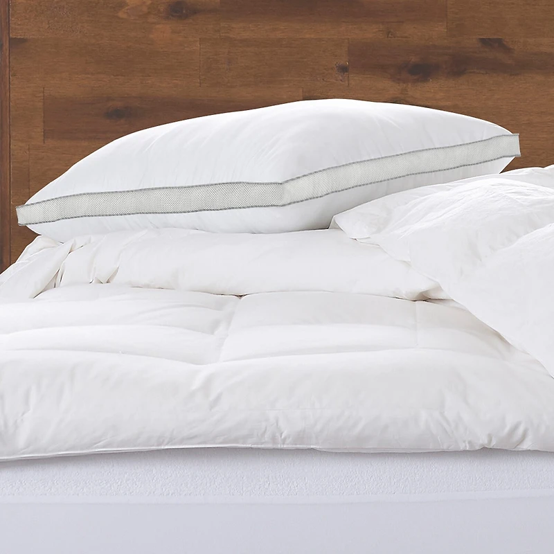 Ella Jayne Hypoallergenic Luxury Cotton Mesh Gusseted Pillow Medium Density for All Sleep Positions