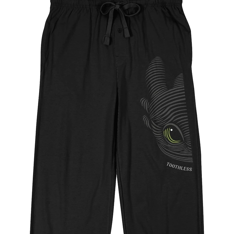 Dragon Toothless Mens Fleece 1 Pair Pajama Pants