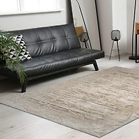 Radici Davide Abstract Indoor Rectangular Accent Rug
