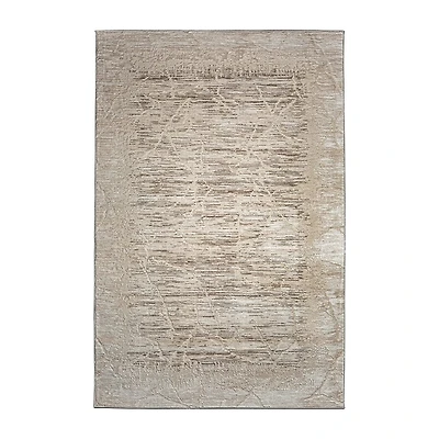 Radici Davide Abstract 5'X7' Indoor Rectangular Area Rug