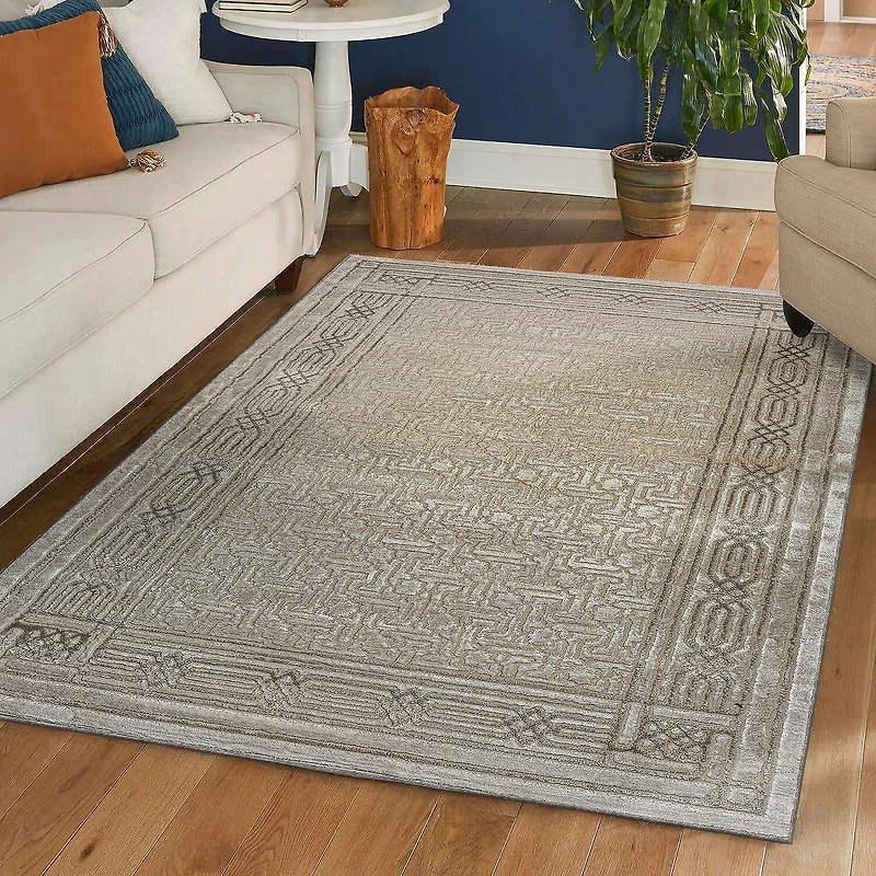 Radici Davide Bordered Indoor Rectangular Accent Rug