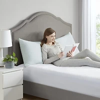 Sleep Philosophy Rayon Memory Foam Gel Pillow