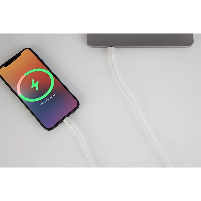 Chargeworx 6Ft Power Delivery Usb-C To Usb-C Cable