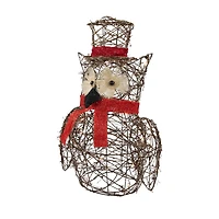21'' Lighted Glitter Rattan Owl Christmas Outdoor Decoration