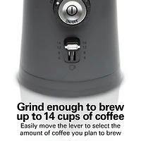 Hamilton Beach® 14 Cup Custom Grind Coffee Grinder
