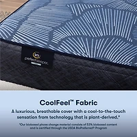 Serta Perfect Sleeper Euphoric Nights 14" Hybrid Plush