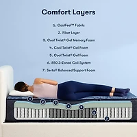 Serta Perfect Sleeper Euphoric Nights 14" Hybrid Plush