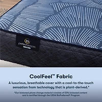 Serta Perfect Sleeper Euphoric Nights 14" Hybrid Plush - Mattress + Box Spring