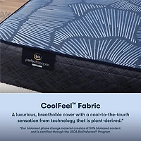 Serta Perfect Sleeper Euphoric Nights 14" Hybrid Firm Mattress + Box Spring