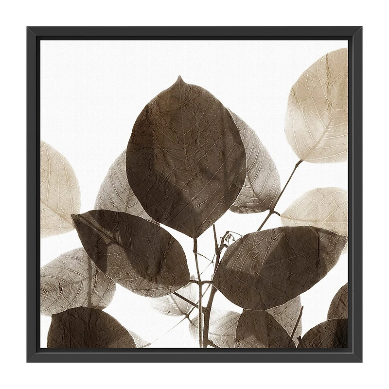 Lumaprints Chocolate Leaves 1 Framed Canvas Art
