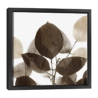 Lumaprints Chocolate Leaves 1 Framed Canvas Art