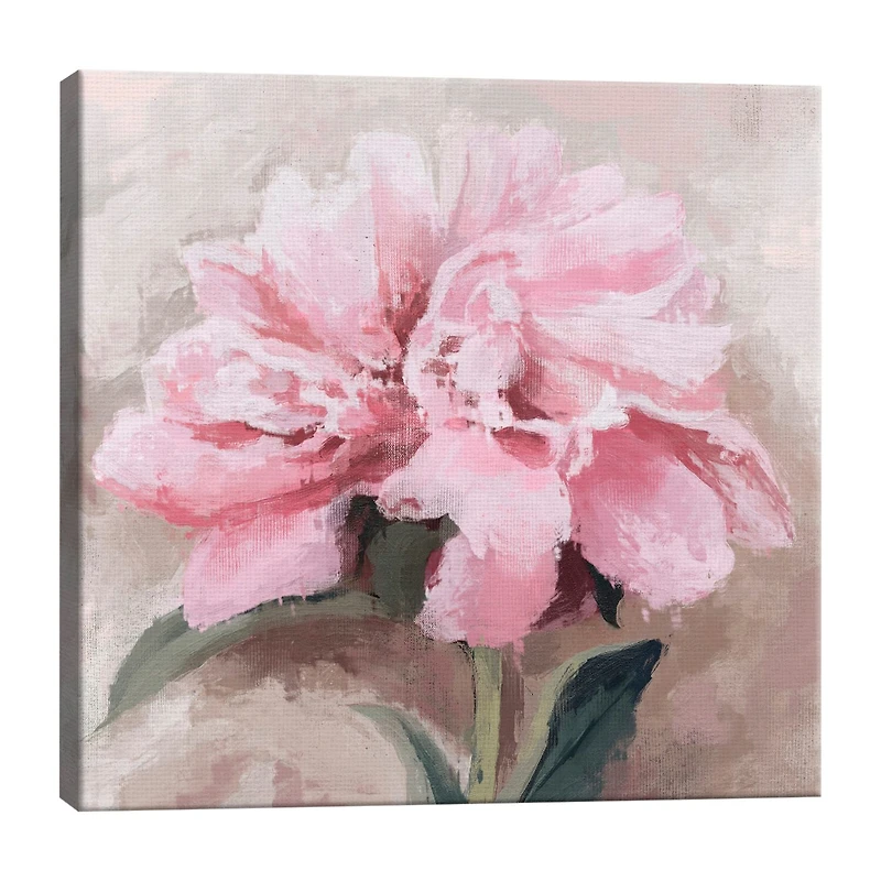 Lumaprints Pretty Pink Canvas Art