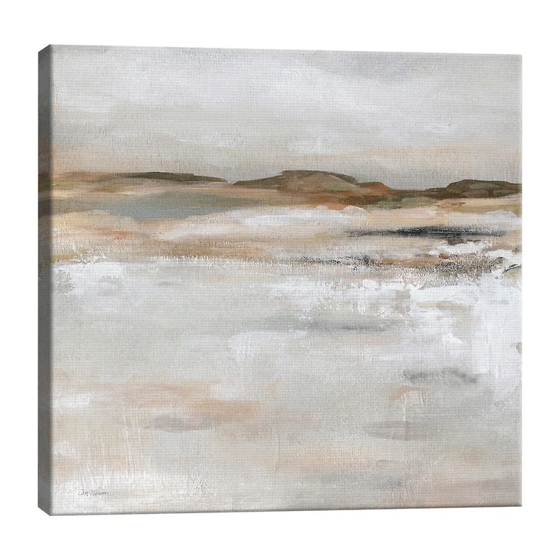 Lumaprints Desert Floor Canvas Art