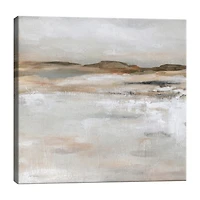 Lumaprints Desert Floor Canvas Art