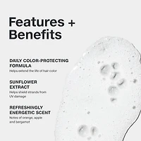 Paul Mitchell Color Protect Shampoo oz