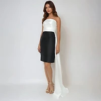 Rene by Ruiz Collection Womens Sleeveless Sheath Dress