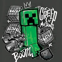 Little & Big Kid Boys Crew Neck Short Sleeve Oversized Minecraft Graphic T-Shirt