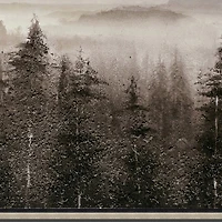 Streamline Art Foggy Mountain Pines Hand Embellished Canvas Art