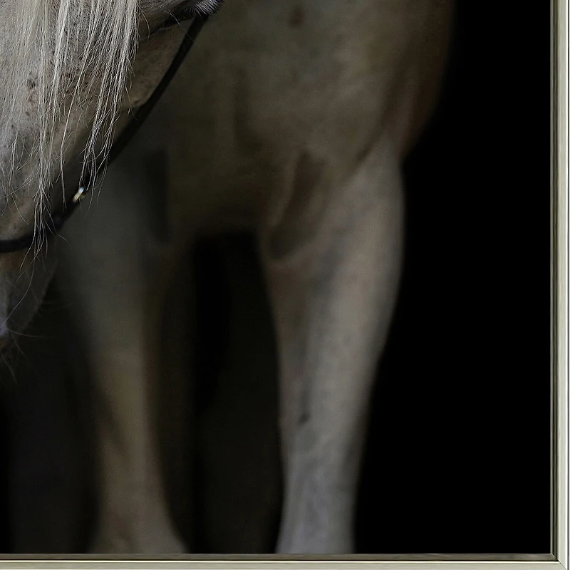 Streamline Art Mystical Horse Printed Framed Canvas Art