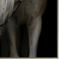 Streamline Art Mystical Horse Printed Framed Canvas Art