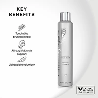 Kenra Professional Platinum Boosting Spray Foam Hair Mousse 8 oz.