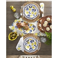 Homewear Water Hyacinth 4-pc. Placemat