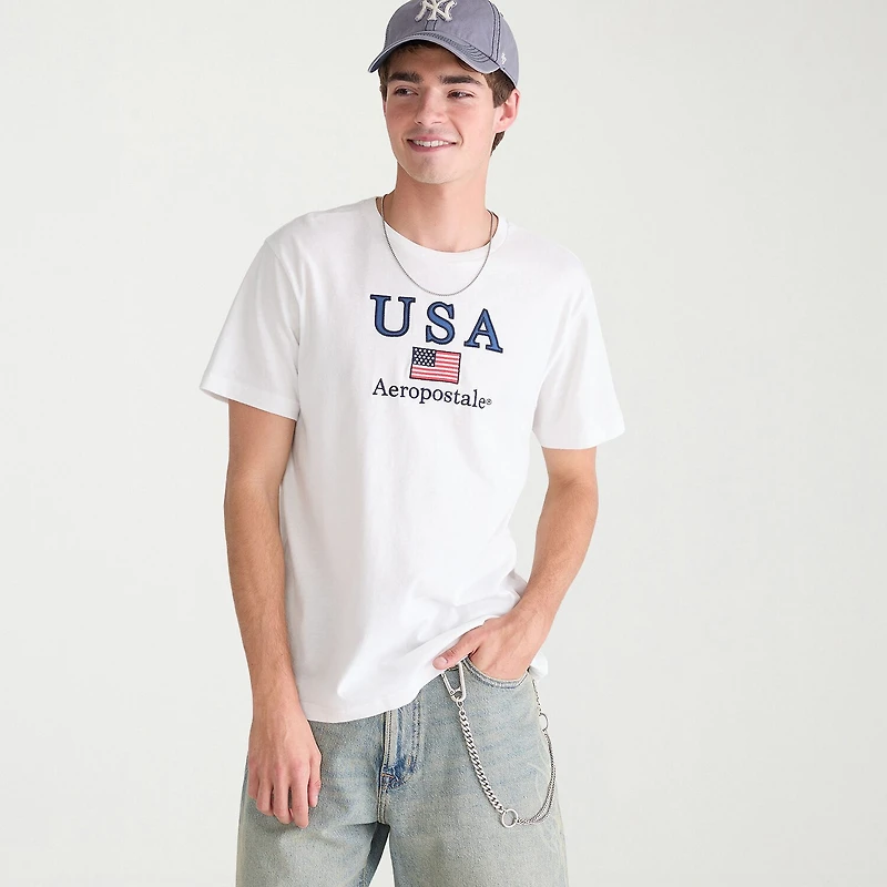 AEROPOSTALE Mens Crew Neck Short Sleeve Classic Fit Graphic T-Shirt