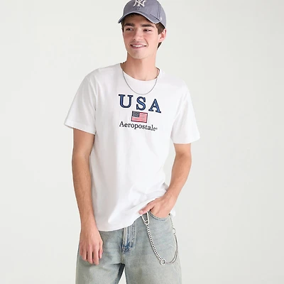 AEROPOSTALE Mens Crew Neck Short Sleeve Classic Fit Graphic T-Shirt
