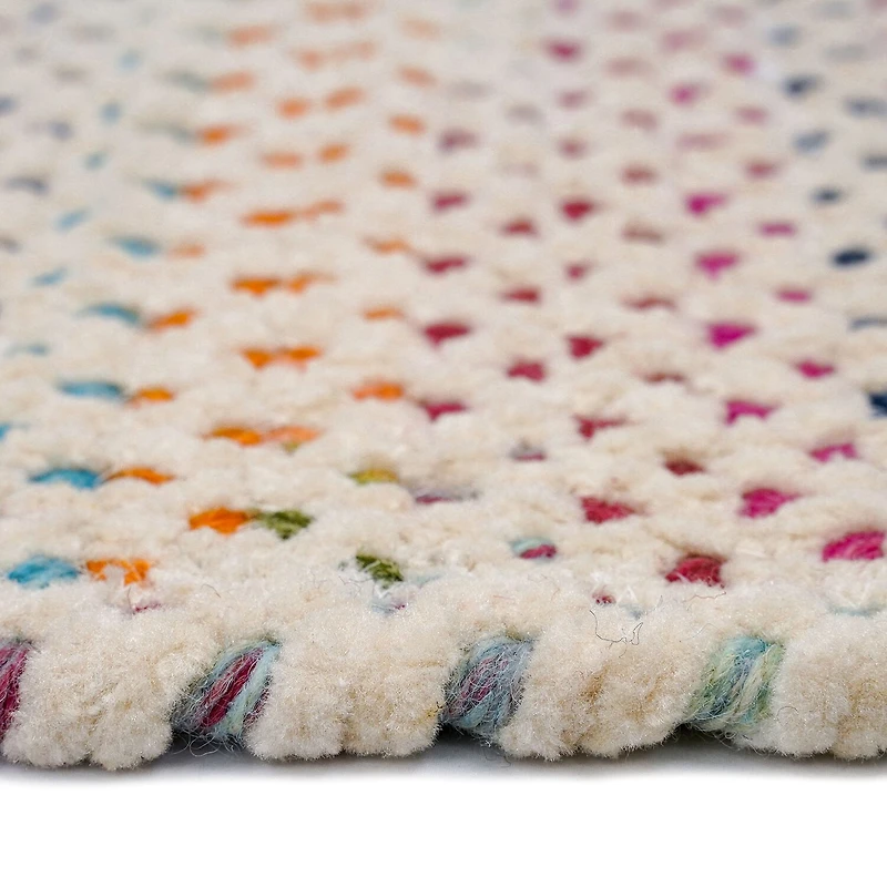 Capel Inc. Vivid Multi Braided Reversible Indoor Rectangular Accent Rug