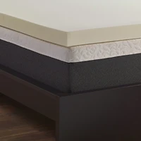 Isotonic® 3” Memory Foam Mattress Topper
