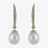 Womens White Cultured Freshwater Pearl 14K Gold Over Silver Drop Earrings