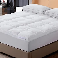 Royal Velvet 5-Inch Feather Bed With Cotton Cover