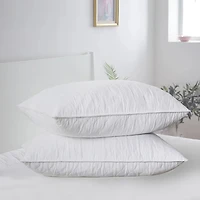 Peacenest Polyester Blend Pillow - Set Of 2