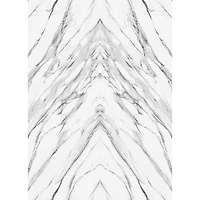 Tempaper Book-Matched Marble Mural Wallpaper