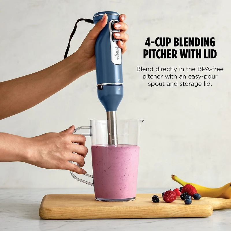 Ninja 4-Speed Immersion Blender