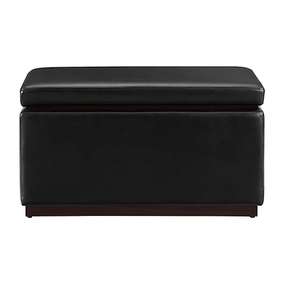 Berlinda Faux Leather Rectangular Storage Ottoman