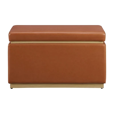 Berlinda Faux Leather Rectangular Storage Ottoman