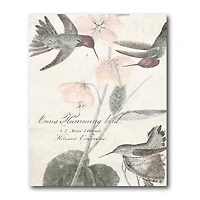 Courtside Market Soft Hummingbirds Canvas Art