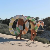 SUNNYLiFE® Gnt Noodlesd Pool Float