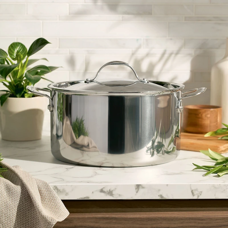 Anolon Everlast Tri-Ply Clad 8 Qt Stainless Steel Stockpot