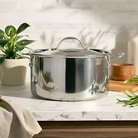 Anolon Everlast Tri-Ply Clad 8 Qt Stainless Steel Stockpot