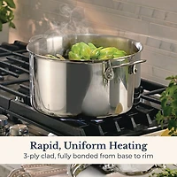 Anolon Everlast Tri-Ply Clad 8 Qt Stainless Steel Stockpot