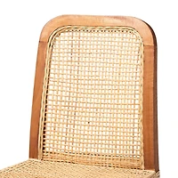 Caspia Bar Stool