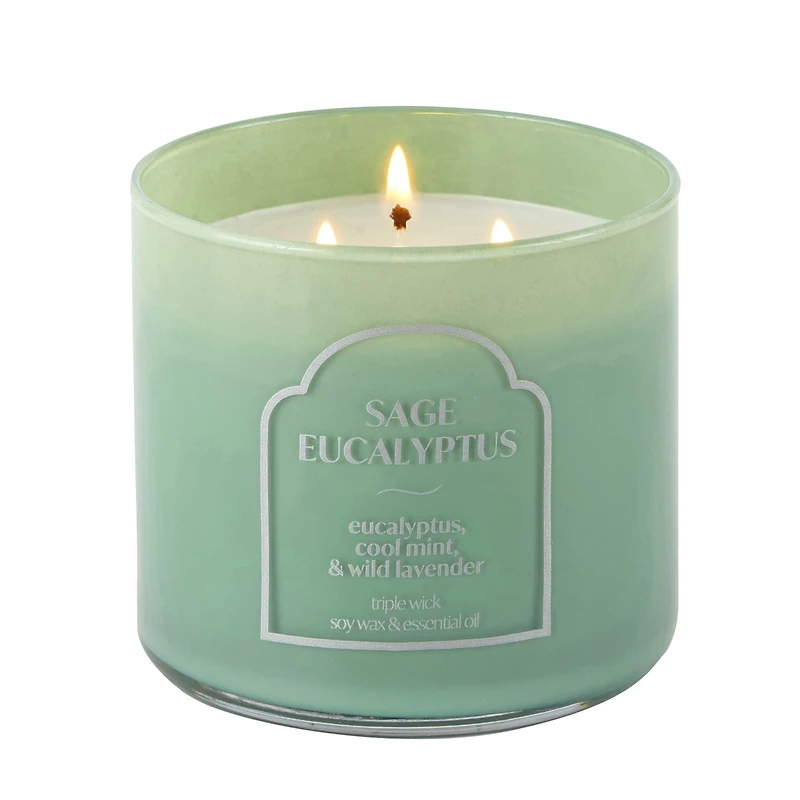 Distant Lands 14oz Sage Eucalyptus 3-Wick Scented Jar Candle